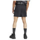 Adidas Ανδρικό σορτς Terrex Multi Shorts Adidas Ανδρικό σορτς Terrex Multi Shorts